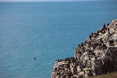 《Apex英雄》也搞会员制？EA新问卷暗示新每月订阅服务