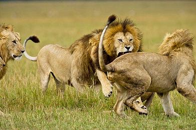 《使命召唤22》僵尸模式预告 全新角色阵容登场